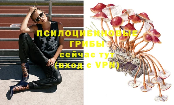 стафф Алексеевка