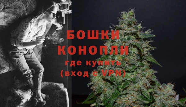 сатива Абаза