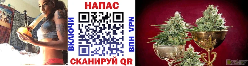 Шишки марихуана конопля  Протвино 
